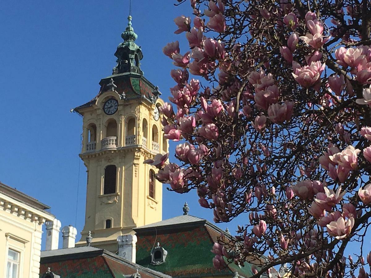 Schaeffer Palace Leilighet Szeged Eksteriør bilde